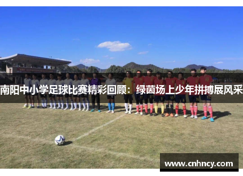 南阳中小学足球比赛精彩回顾：绿茵场上少年拼搏展风采